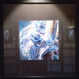 julien_ziemniak_galeria