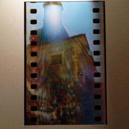 kubasiewicz pałacowe