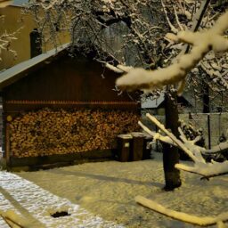 stasińska kubasiewicz wernisaż