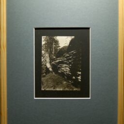 Halina_Morcinek_ECHO Z LE GRAS