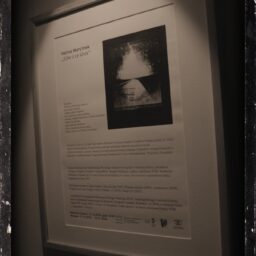 Halina Morcinek wernisaż