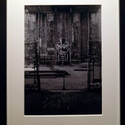 Magdalena Hałas Nowy York wgladówki