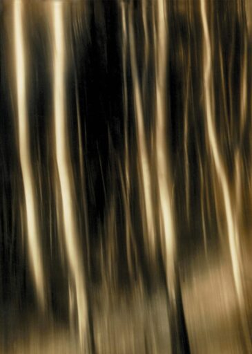 Konrad Pollesch Pejzaże Muzyczne Pusta cd