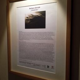 Barbara_ Górniak_Złudzenia_wernisaż