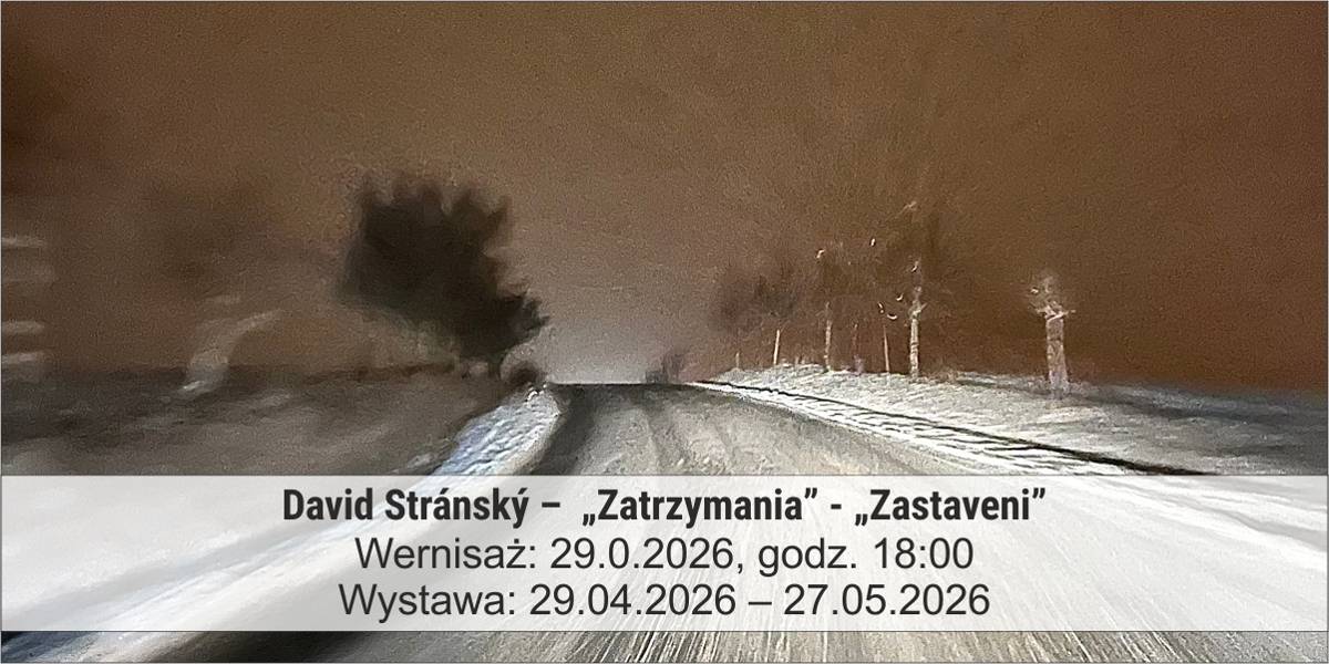 Dawid Stransy zatrzymania